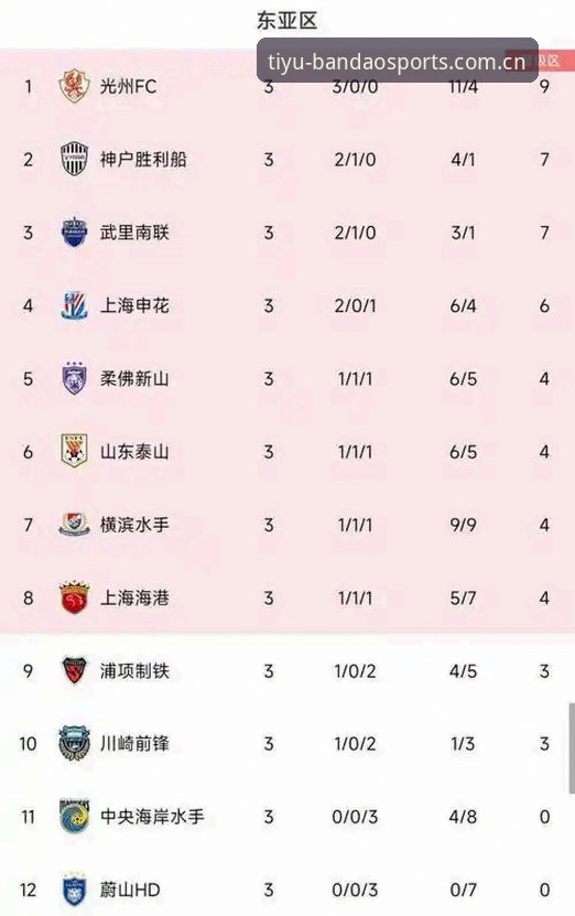 半岛体育平台移动端数据查询完整指南：从入口选择到信息解读
